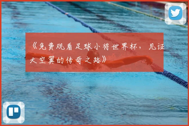 《免费观看足球小将世界杯,见证大空翼的传奇之路》