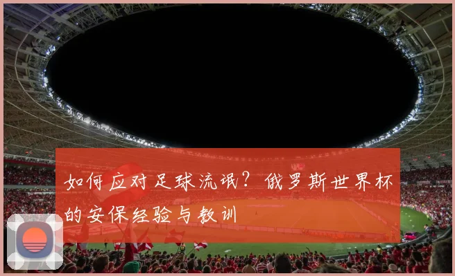 如何应对足球流氓？俄罗斯世界杯的安保经验与教训