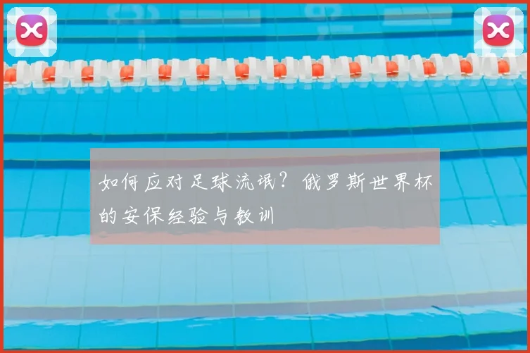 如何应对足球流氓？俄罗斯世界杯的安保经验与教训