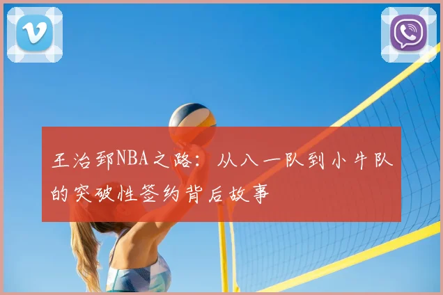 王治郅NBA之路：从八一队到小牛队的突破性签约背后故事