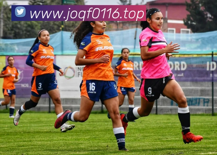 开云在线登录入口官网平台生态图