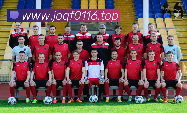 开云在线登录入口官网全站App